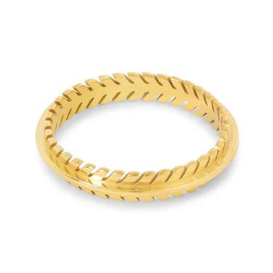 Design sem nome (24) Anel Teodora Banhada em Ouro 18k - Imagem 1